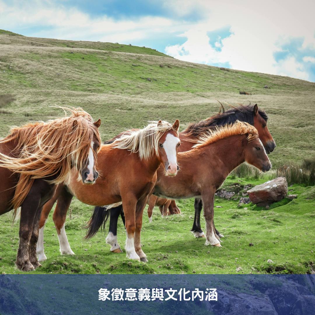 象徵意義與文化內涵